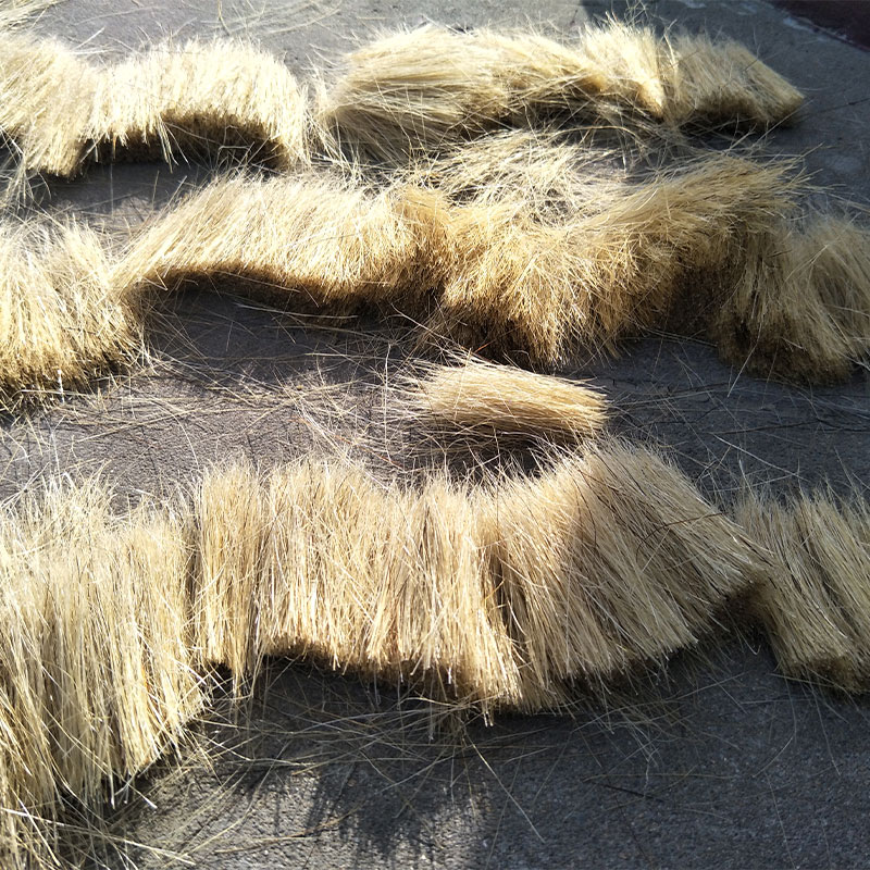 china white bristle china white bristle