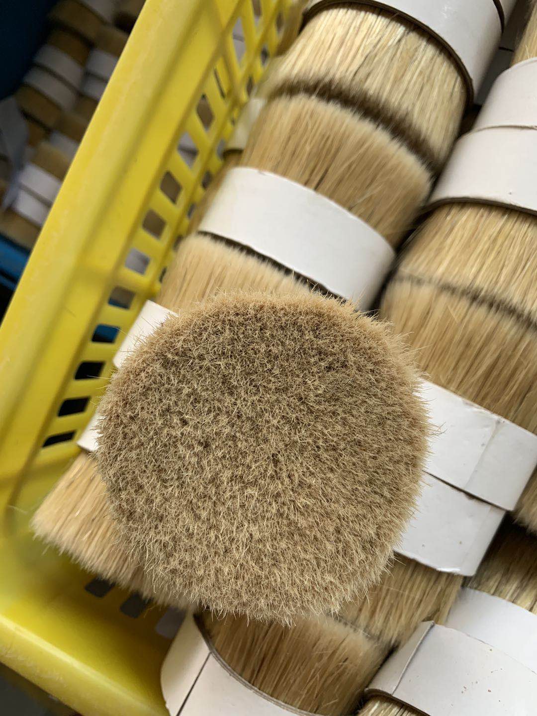 china white bristle china white bristle