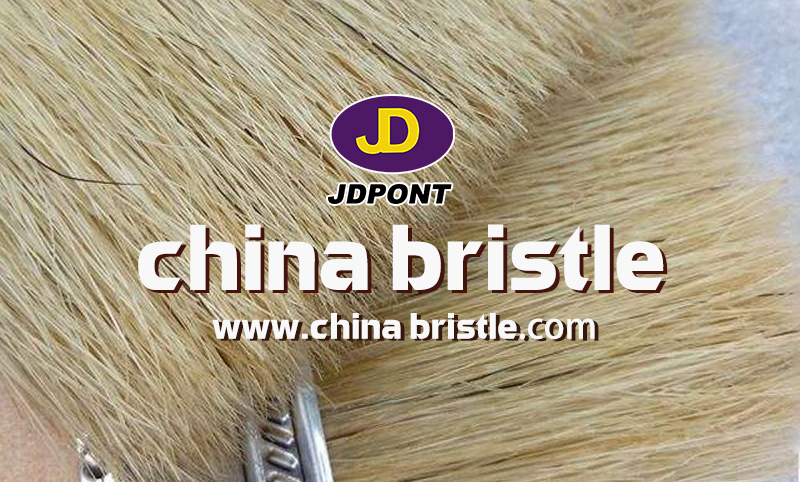 china bristles china bristles