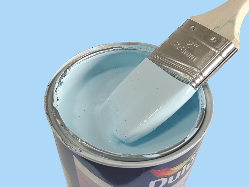 What are the main types of paint?