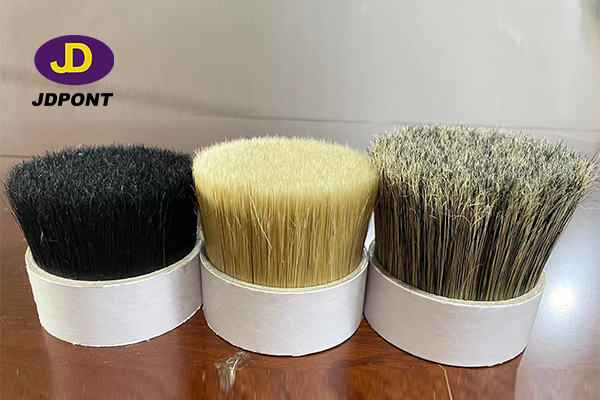 1699241080665388.jpg bristle.jpg