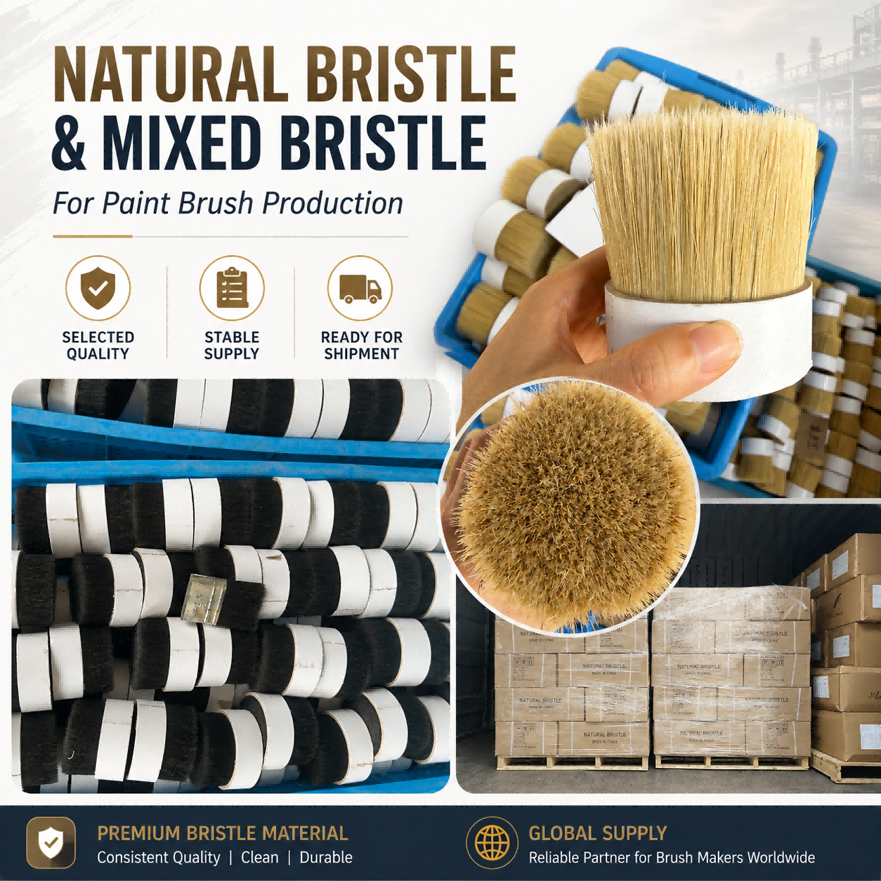 1780539787105339.png Natural Bristle(1).png