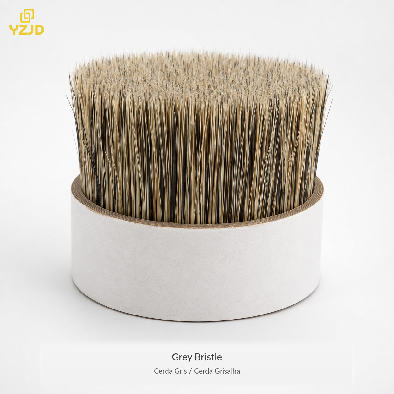 Grey Bristle 1.png